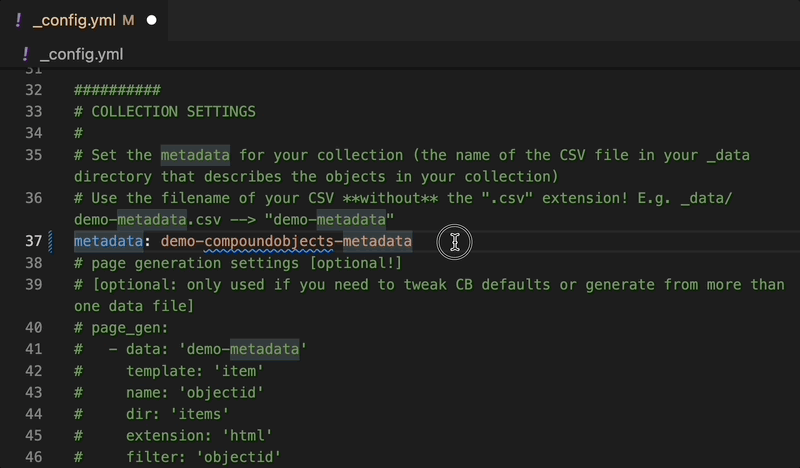 Visual Studio Code user changes metadata placeholder text to the filename of their metadata file
