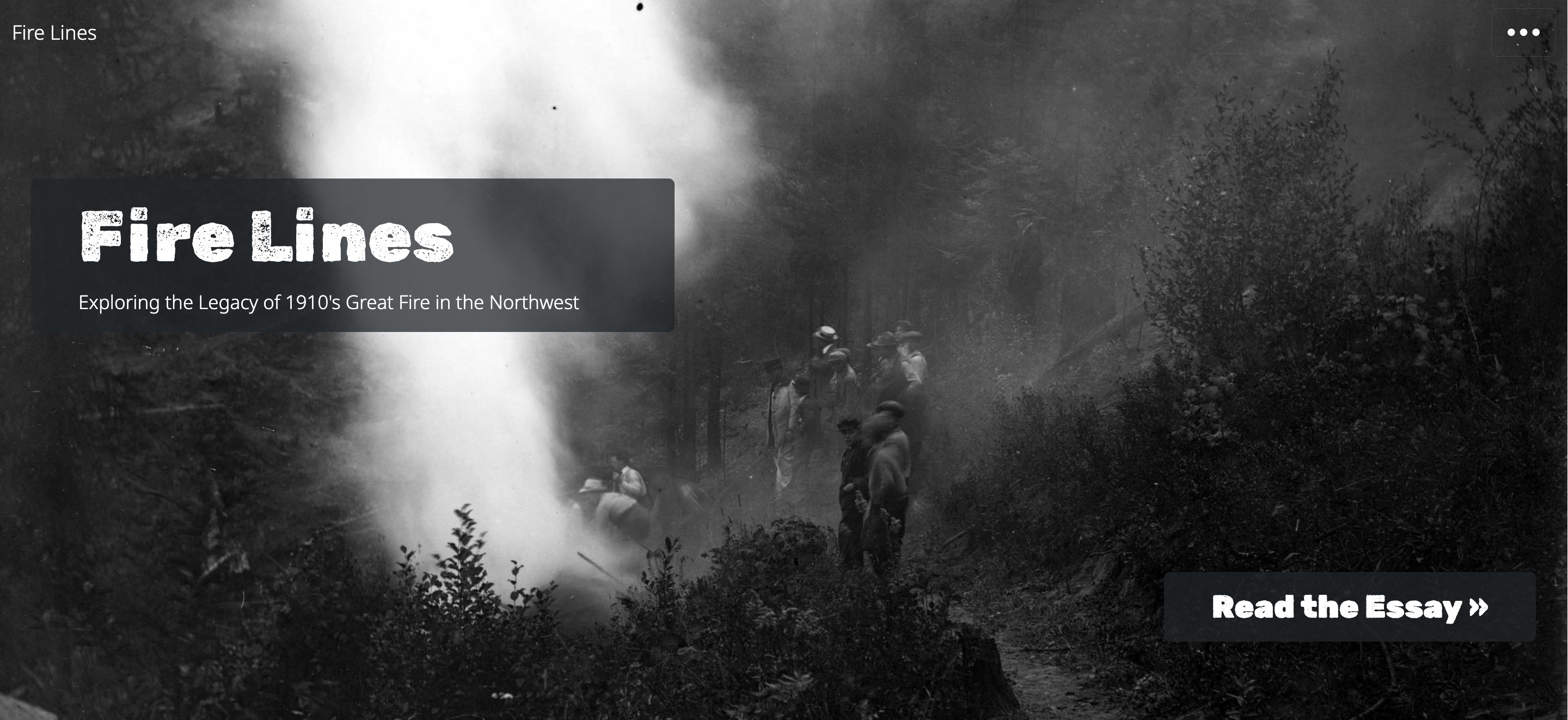 Fire Lines homepage screenshot