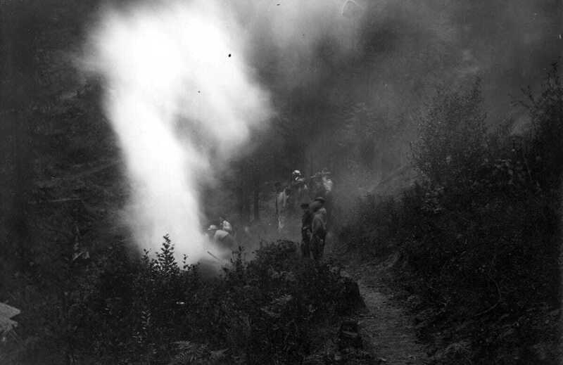 A multimodal essay using threads from archival material, alongside Indigenous fire knowledge and ideas from Western science, in an effort to understand the lasting effects of 1910’s Great Fire on the landscapes of the Northwest.