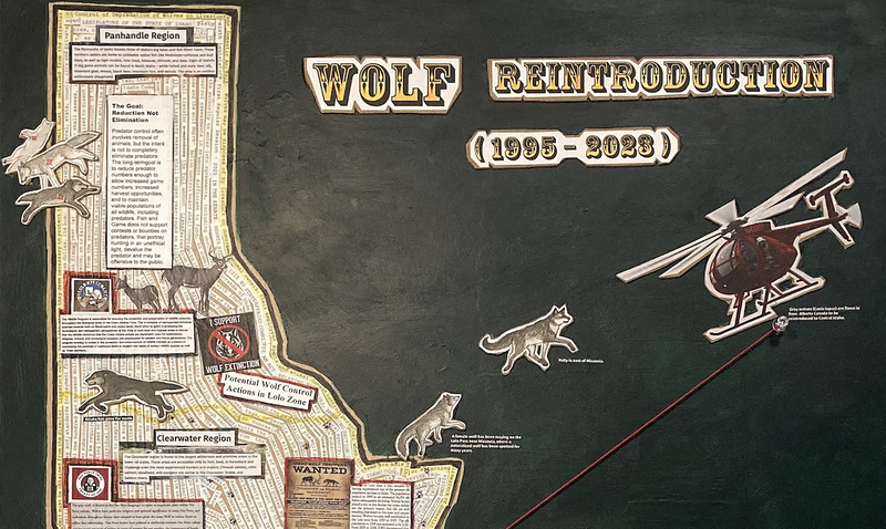 This goal of this interactive multimodal project is to show various dimensions surrounding the wolf controversy in Idaho: a coalescence of regional viewpoints and events stemming from the initial release of Canis Lupus in 1995.