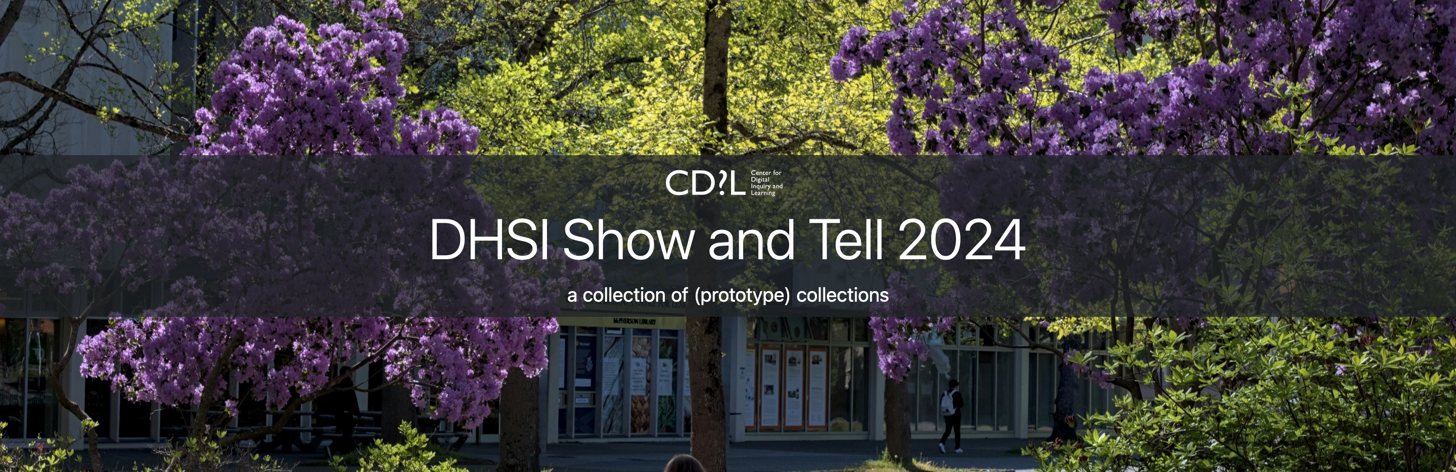 The homepage for our DHSI 2024 Collection of Collections.